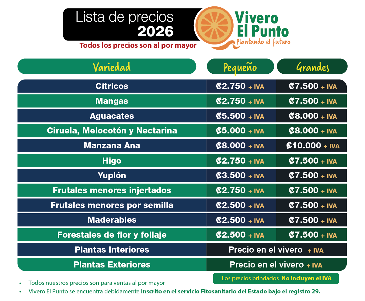 Tabla de precios actualizada 2026 de Vivero El Punto. Costos de plantas ornamentales, frutales, macetas y abonos en Costa Rica.
